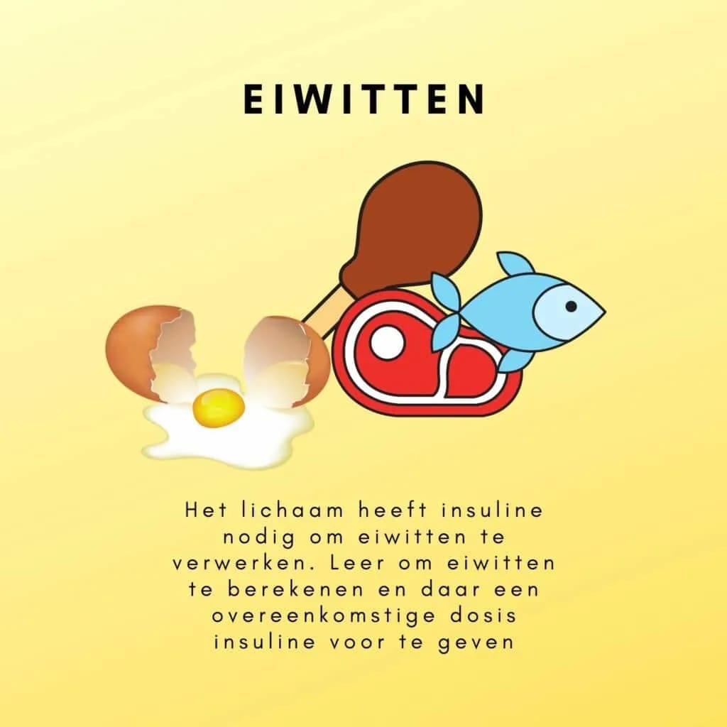 Bolussen voor eiwitten