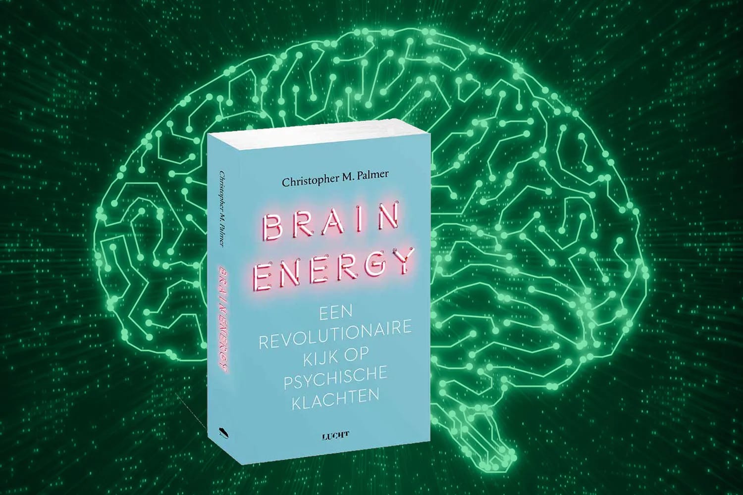 Brain Energy - boek door Christopher Palmer