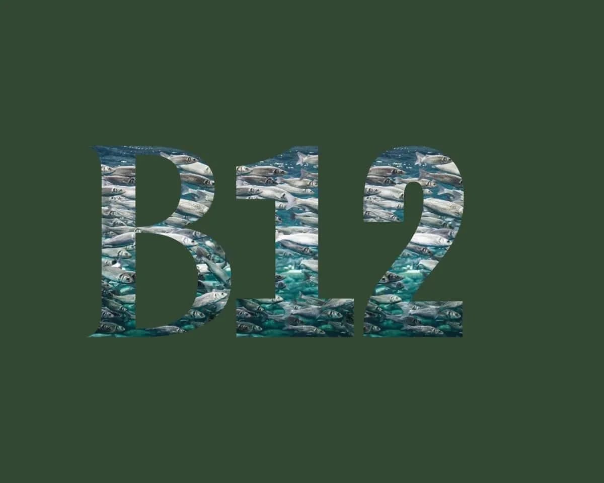 Vitamine B12