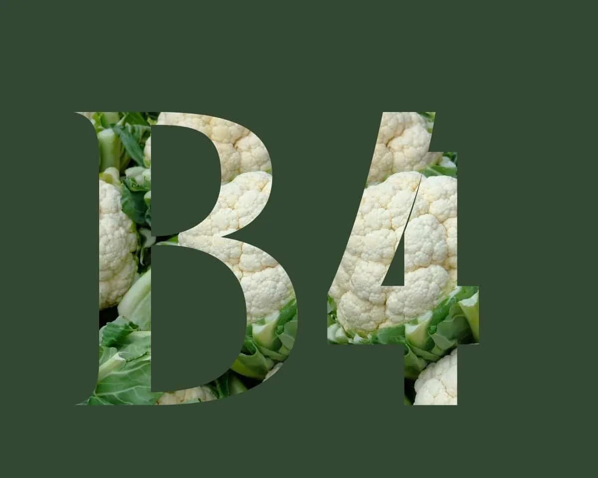 Vitamine B4
