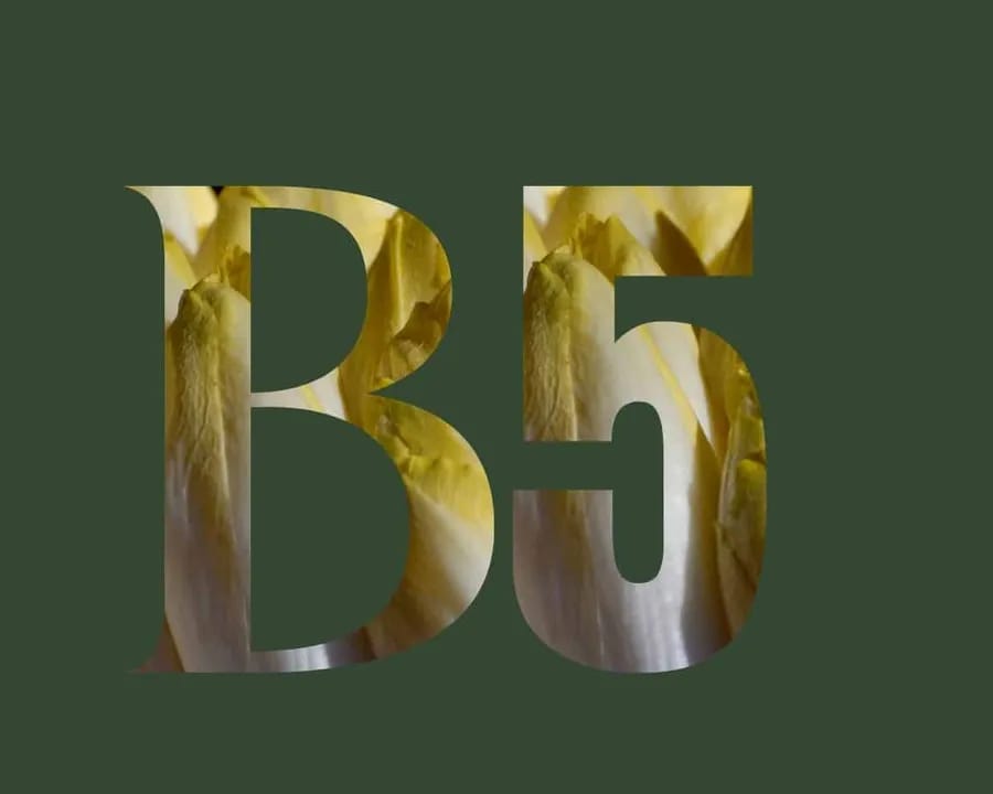 Vitamine B5