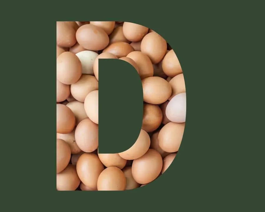 Vitamine D Je Leefstijl Als Medicijn