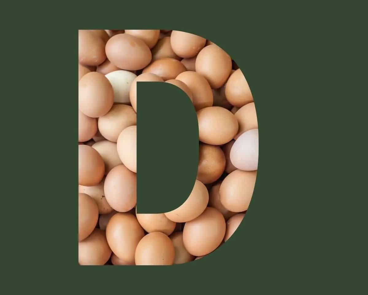 Vitamine D Je Leefstijl Als Medicijn