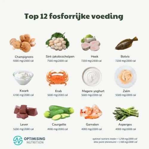 12 bronnen van fosfor stichting Je Leefstijl Als Medicijn