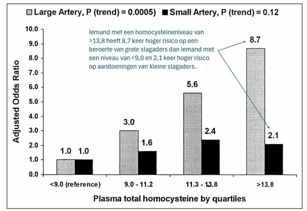 Inline image from Een gezond brein: homocysteïne en B-vitamines