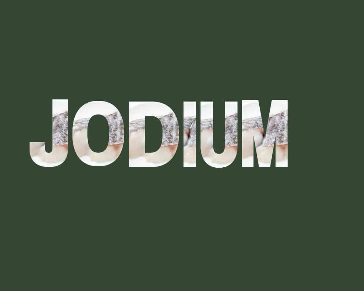 jodium stichting Je Leefstijl Als Medicijn