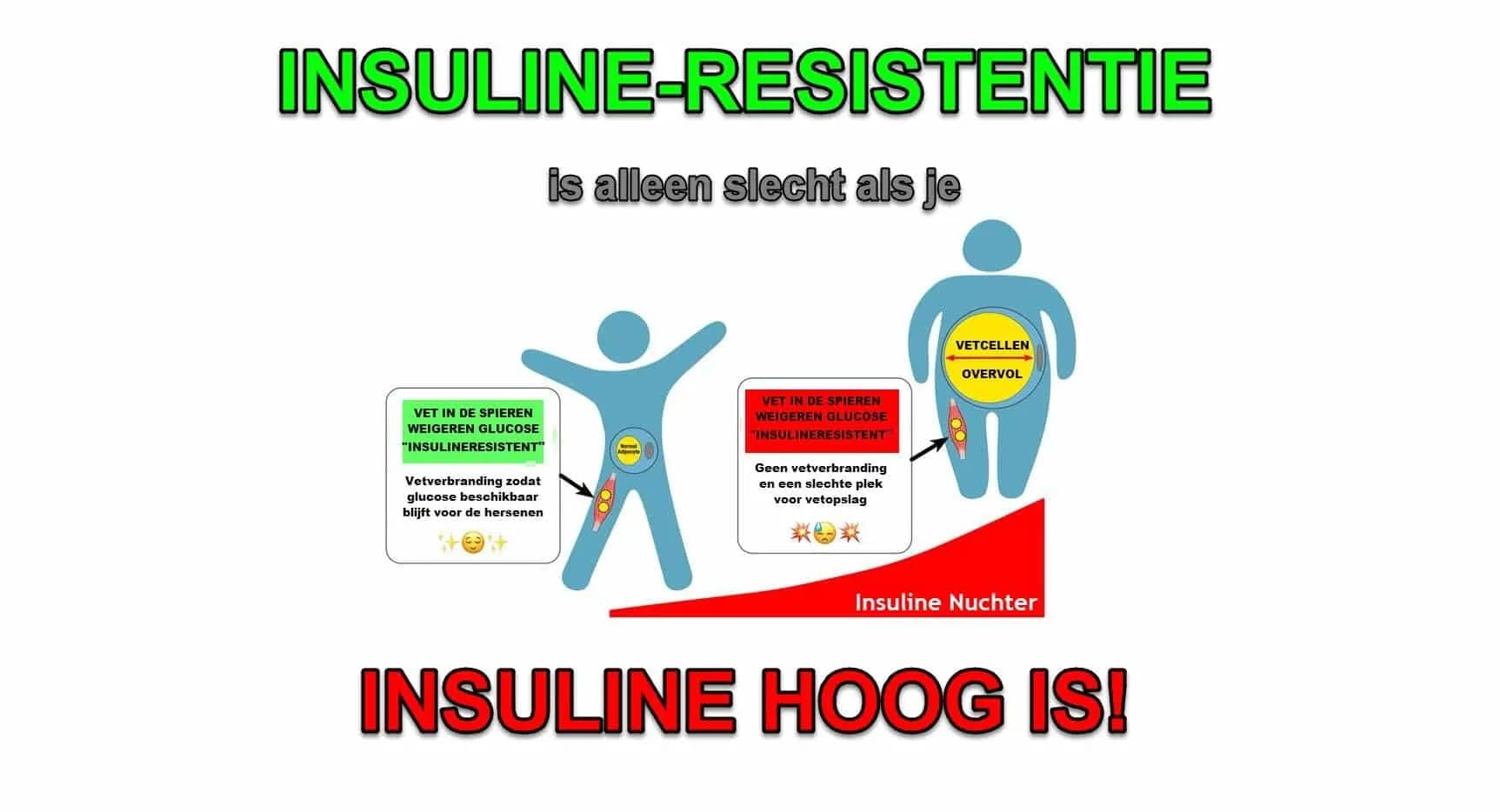 Ketogeen dieet veroorzaakt Insulineresistentie