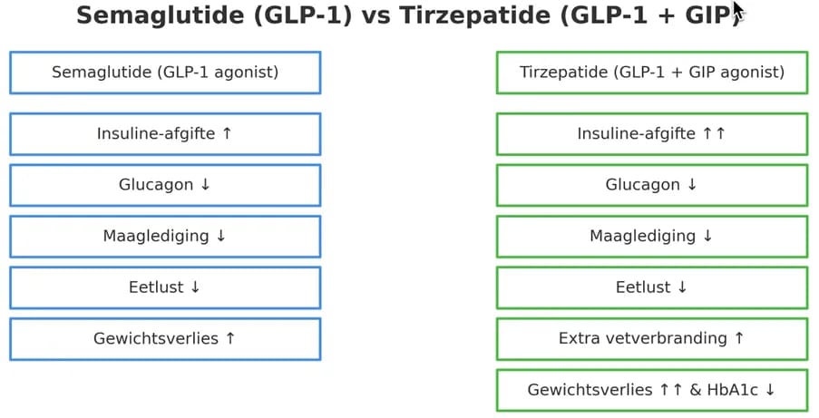 werking van GLP-1 en duale GIP/GLP-1-agonisten