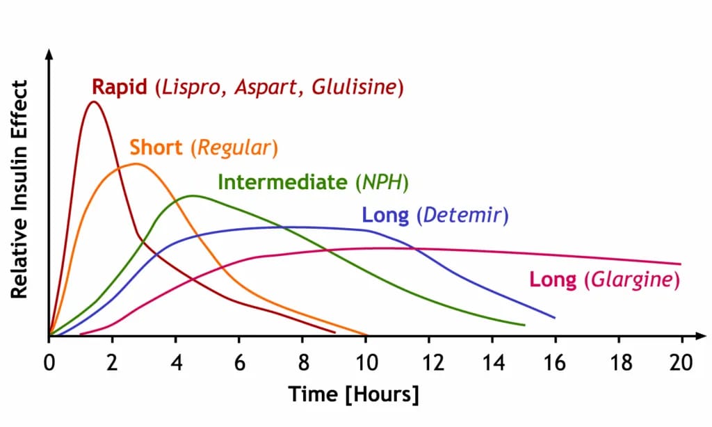 werkingsprofielen van maaltijd insulines - kortwerkende - en langwerkende insulines