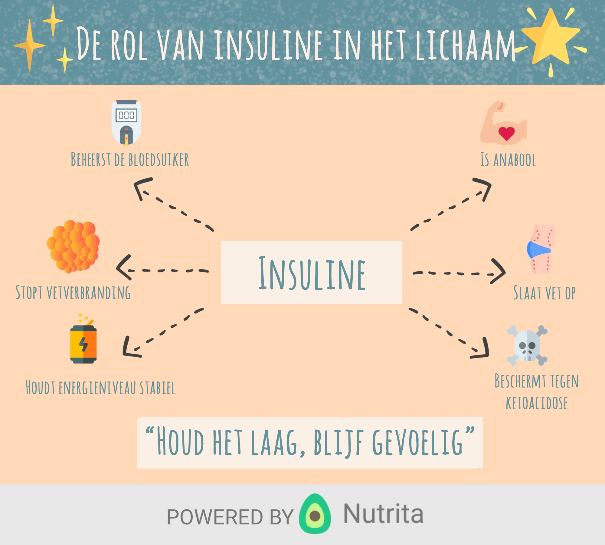 De rol van insuline in het lichaam