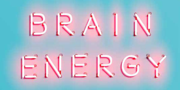 Brain Energy - boek door Christopher Palmer